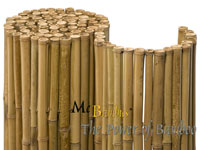 BambusBerlin Detailansicht  Bambusrollzaun Natur