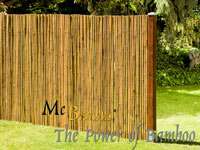 BambusBerlin: Anwendungsbeispiel fr den Bambusrollzaun Natur - Ort: Berlin