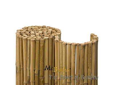 BambusBerlin Bambuszäune